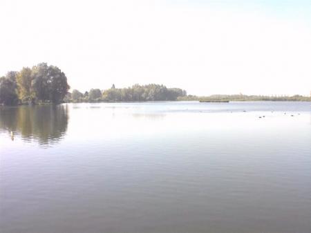 une vue du grand marais