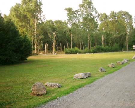 les arbres decapiter de la pature de monsieur demol