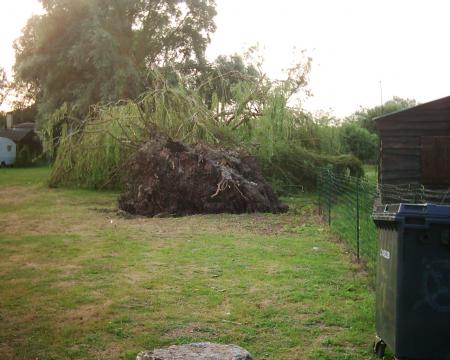 un solpleureur derasiner rue d'ecourt