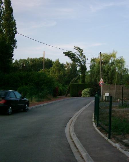 l'arbre de monsieur harry